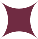 Star Icon